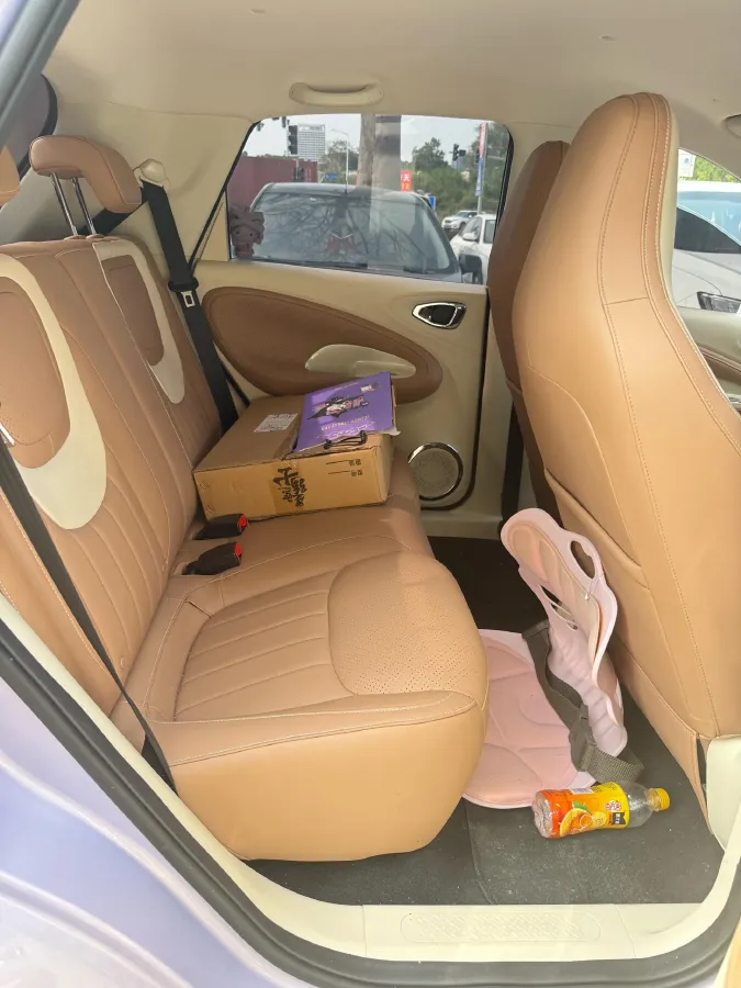 2024 WuLing BinGuo BEV 31.9KWH,autocango,china used car exporter,china ev exporter,chinese used car exporter,chinese used ev exporter