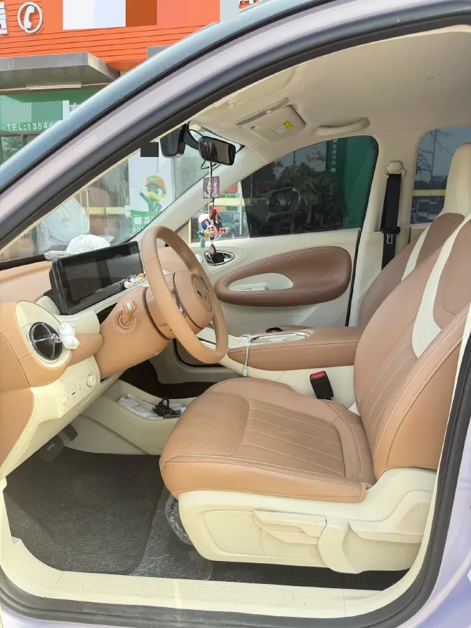 2024 WuLing BinGuo BEV 31.9KWH,autocango,china used car exporter,china ev exporter,chinese used car exporter,chinese used ev exporter