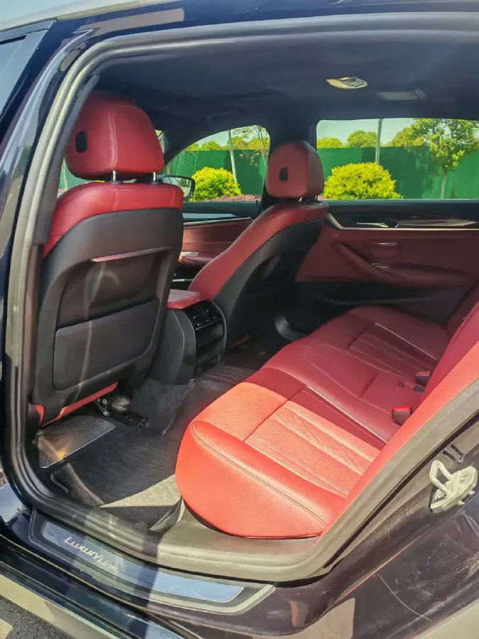 2021 BMW 5 Series 2.0T 184HP L4 8AT,autocango,china used car exporter,china ev exporter,chinese used car exporter,chinese used ev exporter