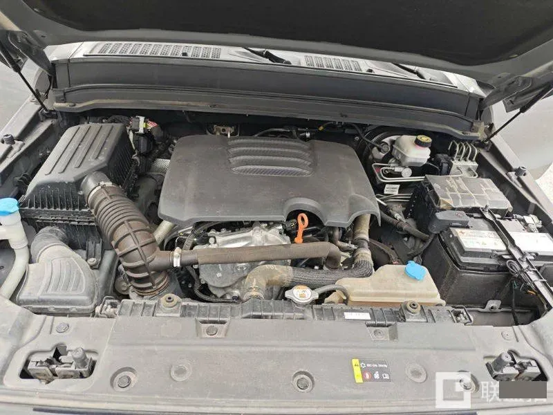 2021 Tank 300 2.0T 227HP L4 8AT,autocango,china used car exporter,china ev exporter,chinese used car exporter,chinese used ev exporter