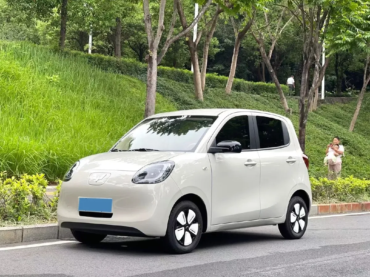 2025 WuLing HongGuang MINI EV BEV 16.2KWH,autocango,china used car exporter,china ev exporter,chinese used car exporter,chinese used ev exporter