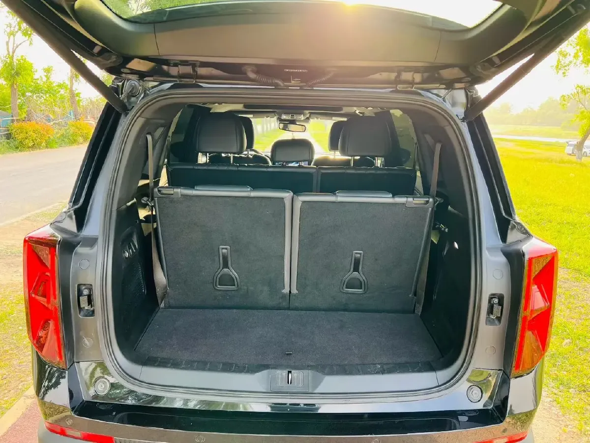 2022 GAC Trumpchi GS8 2.0T 252HP L4 8AT,autocango,china used car exporter,china ev exporter,chinese used car exporter,chinese used ev exporter