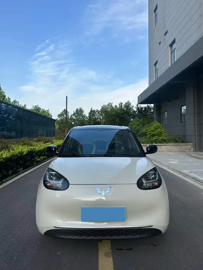 2023 WuLing BinGuo BEV 17.3KWH,autocango,china used car exporter,china ev exporter,chinese used car exporter,chinese used ev exporter