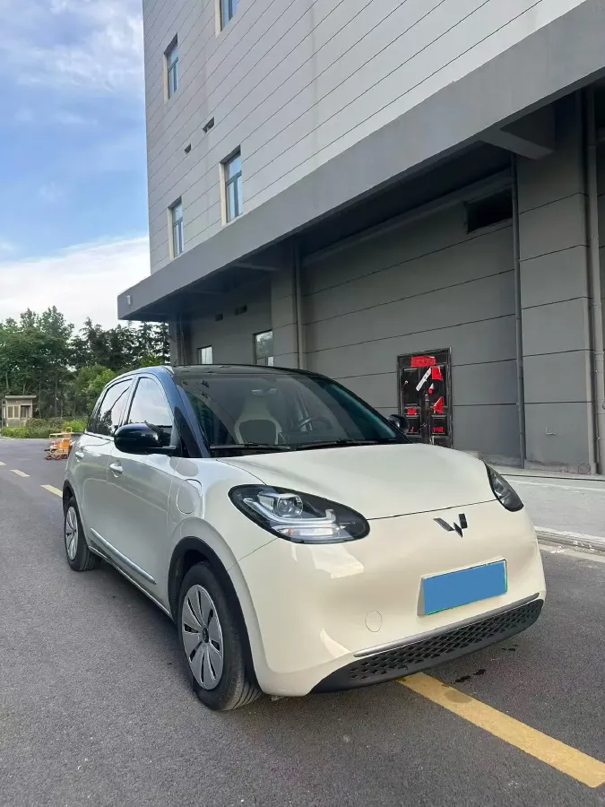 2023 WuLing BinGuo BEV 17.3KWH,autocango,china used car exporter,china ev exporter,chinese used car exporter,chinese used ev exporter