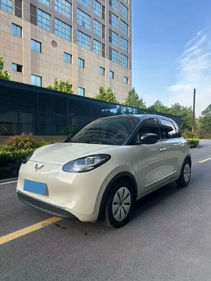 2023 WuLing BinGuo BEV 17.3KWH,autocango,china used car exporter,china ev exporter,chinese used car exporter,chinese used ev exporter