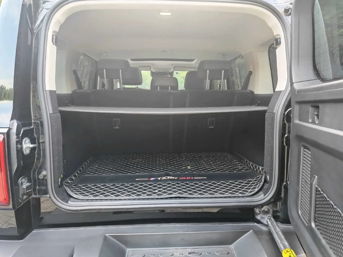 2021 Tank 300 2.0T 227HP L4 8AT,autocango,china used car exporter,china ev exporter,chinese used car exporter,chinese used ev exporter