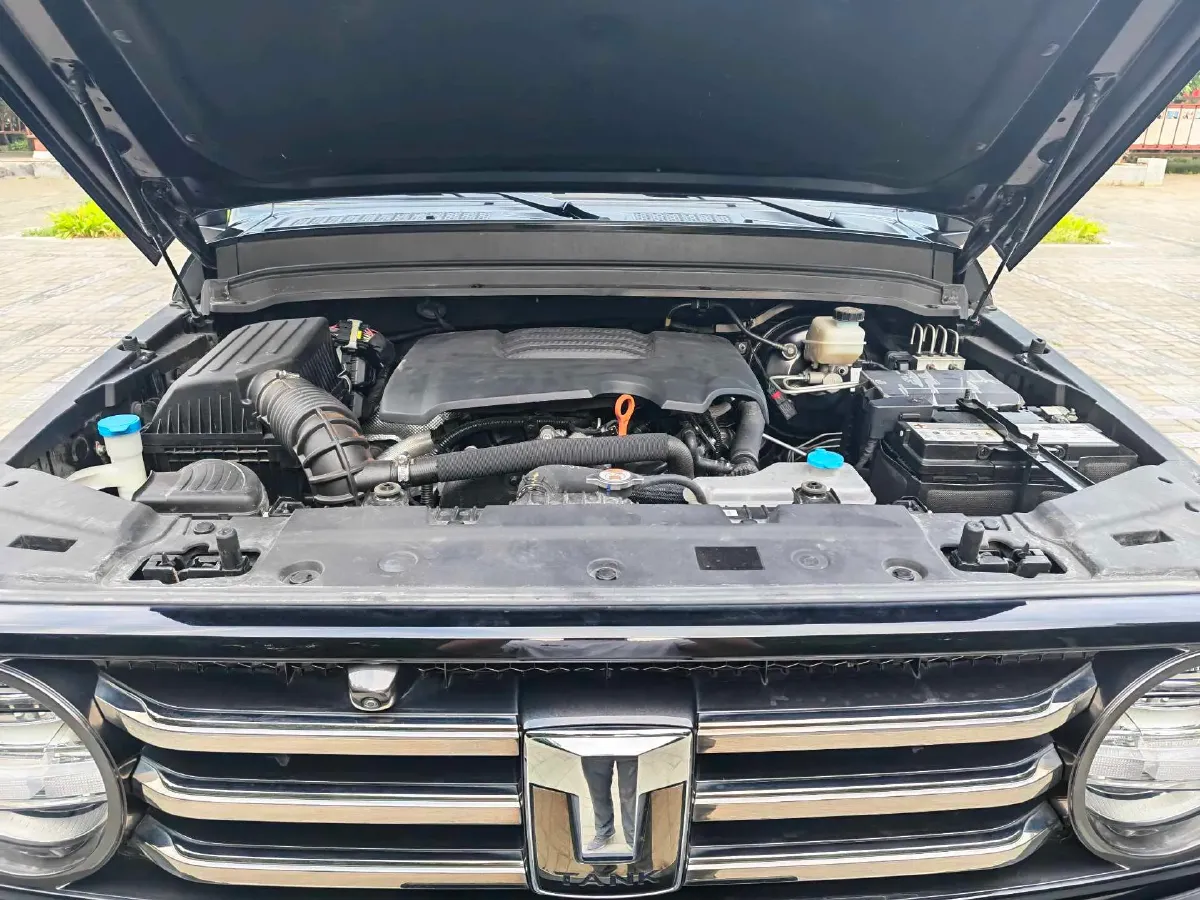 2021 Tank 300 2.0T 227HP L4 8AT,autocango,china used car exporter,china ev exporter,chinese used car exporter,chinese used ev exporter