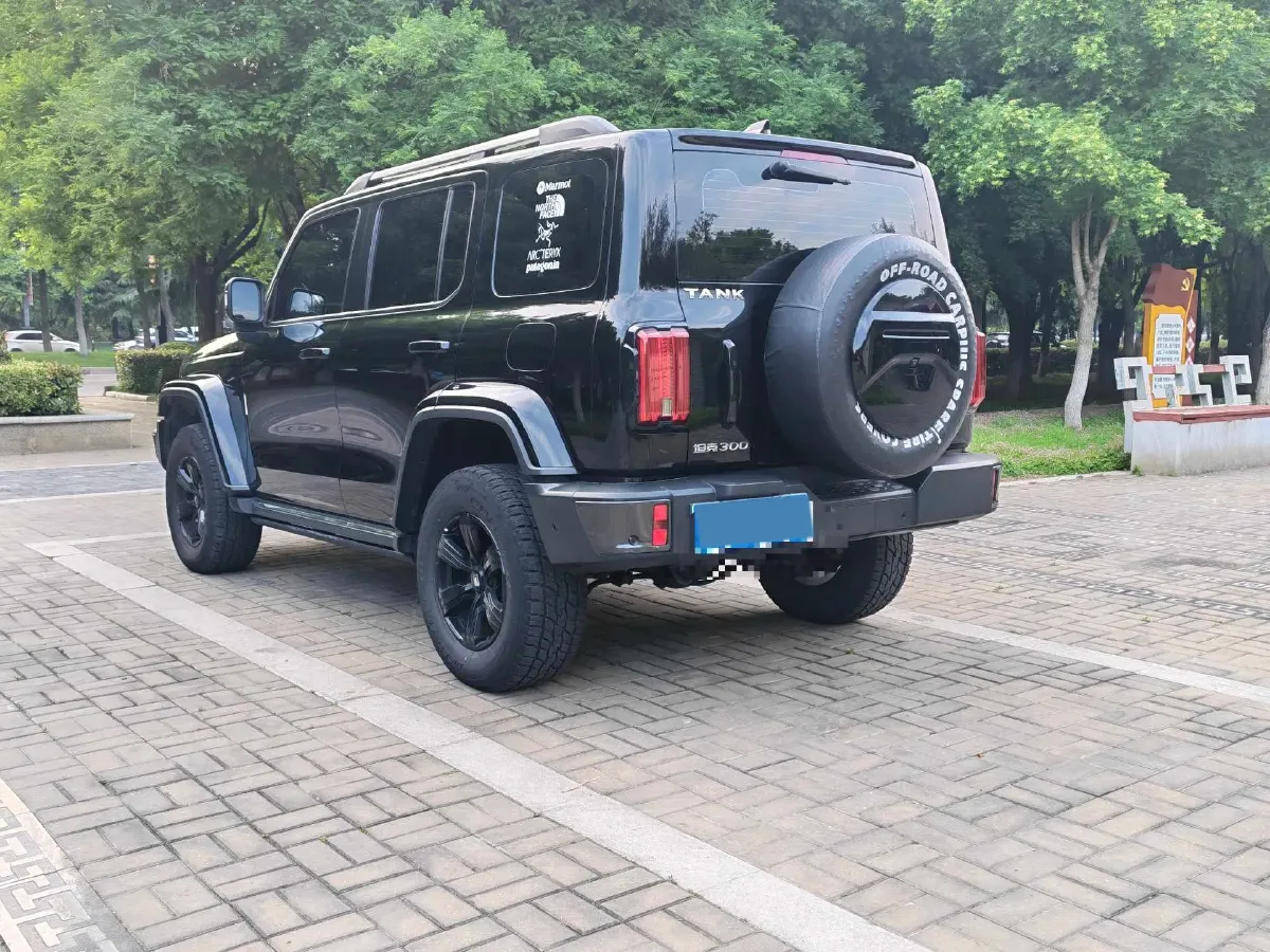 2021 Tank 300 2.0T 227HP L4 8AT,autocango,china used car exporter,china ev exporter,chinese used car exporter,chinese used ev exporter