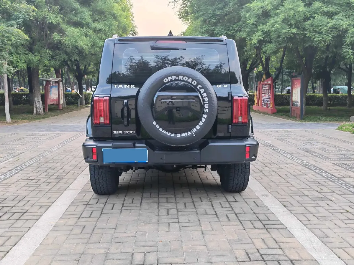 2021 Tank 300 2.0T 227HP L4 8AT,autocango,china used car exporter,china ev exporter,chinese used car exporter,chinese used ev exporter
