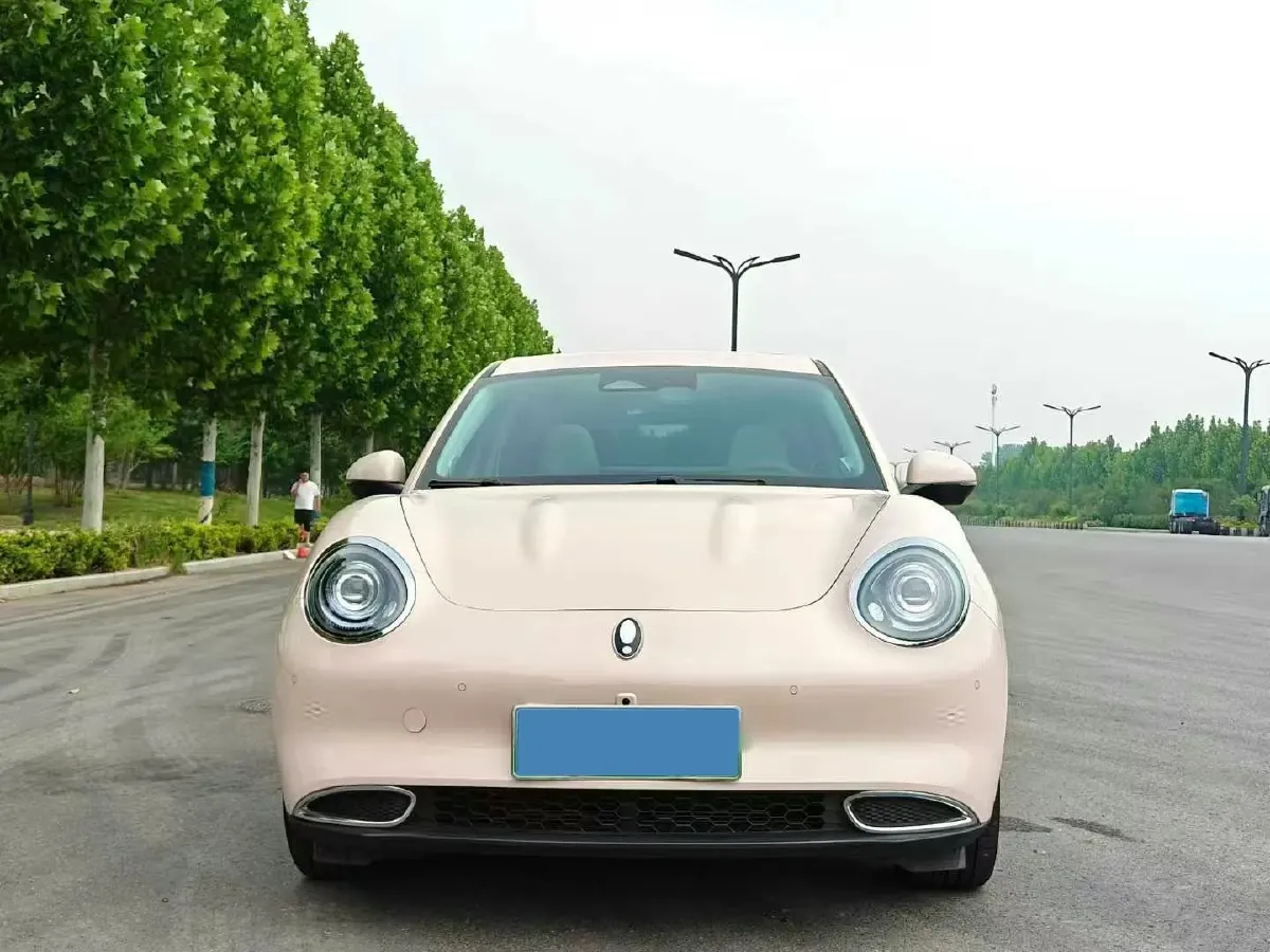 2024 Ora FunkyCat BEV 47.8KWH,autocango,china used car exporter,china ev exporter,chinese used car exporter,chinese used ev exporter