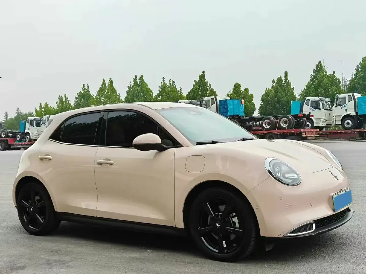 2024 Ora FunkyCat BEV 47.8KWH,autocango,china used car exporter,china ev exporter,chinese used car exporter,chinese used ev exporter