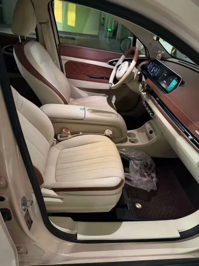 2024 Ora FunkyCat BEV 47.8KWH,autocango,china used car exporter,china ev exporter,chinese used car exporter,chinese used ev exporter