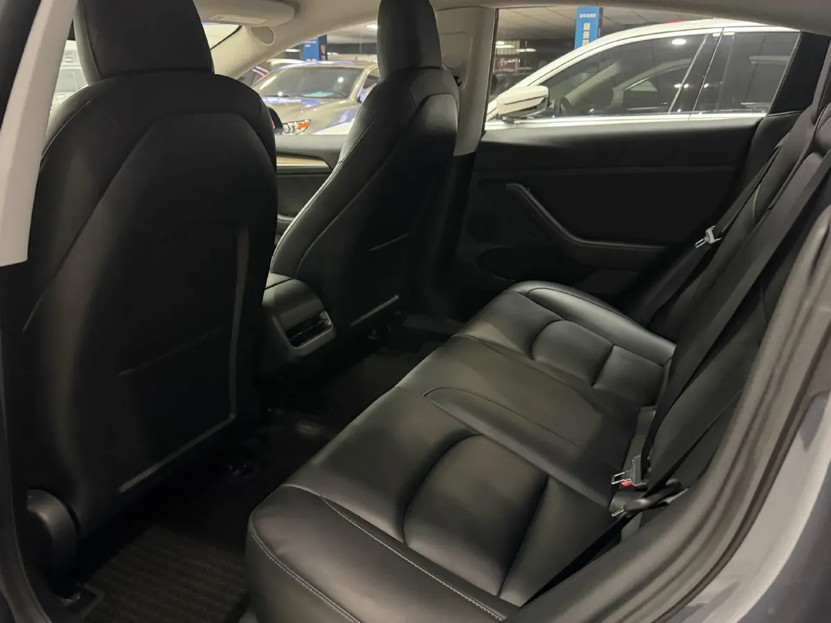 2021 Tesla Model 3 BEV 55KWH,autocango,china used car exporter,china ev exporter,chinese used car exporter,chinese used ev exporter