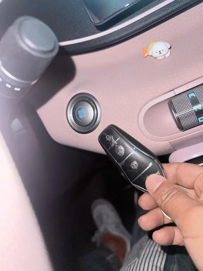 2024 BYD Seagull BEV 30.08KWH,autocango,china used car exporter,china ev exporter,chinese used car exporter,chinese used ev exporter