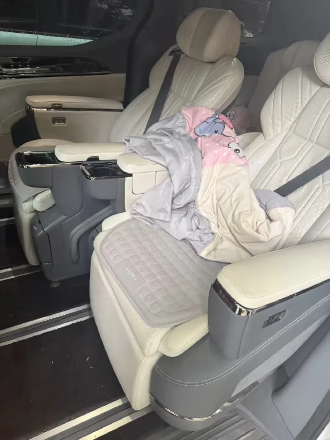 2022 Zeekr 009 BEV 116KWH,autocango,china used car exporter,china ev exporter,chinese used car exporter,chinese used ev exporter