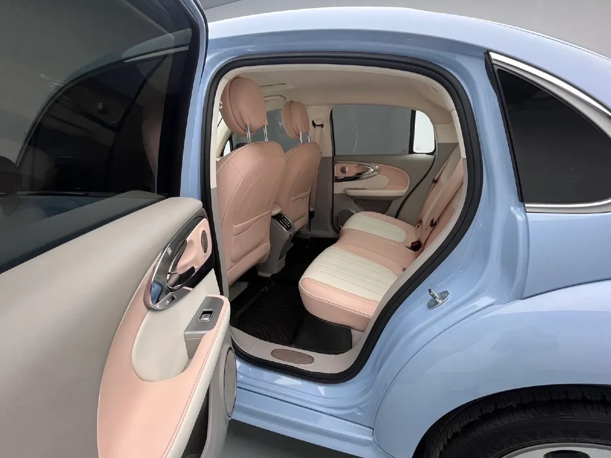 2022 Ora BalletCat BEV 49.92KWH,autocango,china used car exporter,china ev exporter,chinese used car exporter,chinese used ev exporter