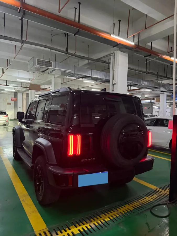 2024 Tank 300 2.0T 227HP L4 8AT,autocango,china used car exporter,china ev exporter,chinese used car exporter,chinese used ev exporter