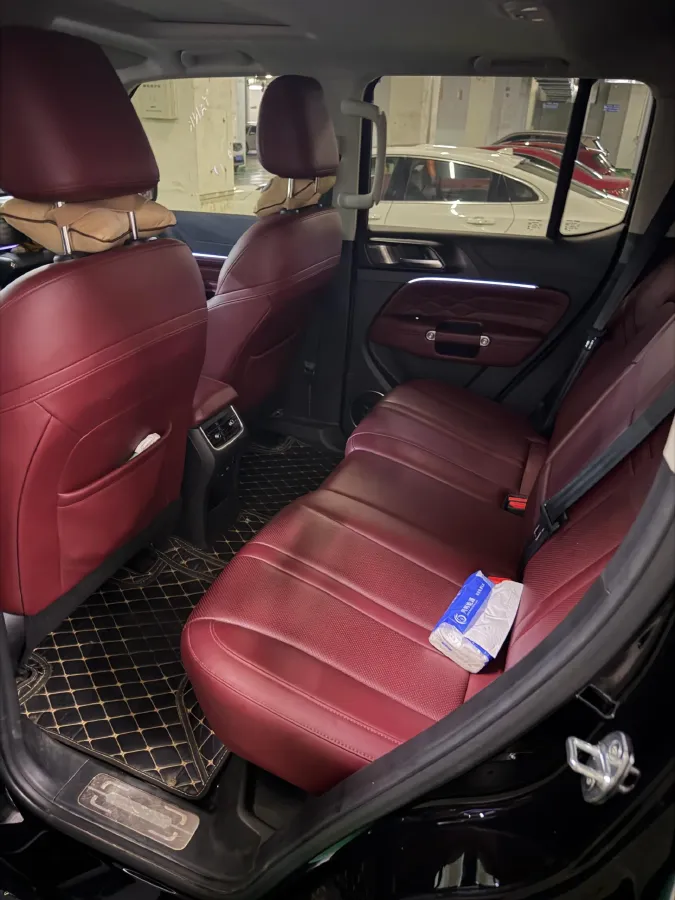 2024 Tank 300 2.0T 227HP L4 8AT,autocango,china used car exporter,china ev exporter,chinese used car exporter,chinese used ev exporter