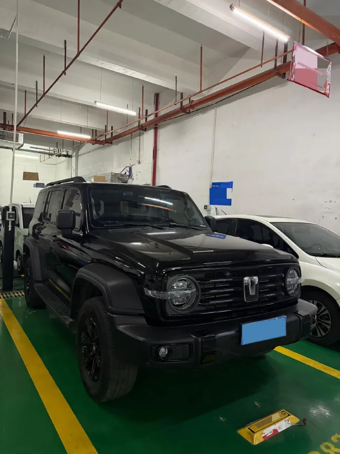 2024 Tank 300 2.0T 227HP L4 8AT,autocango,china used car exporter,china ev exporter,chinese used car exporter,chinese used ev exporter
