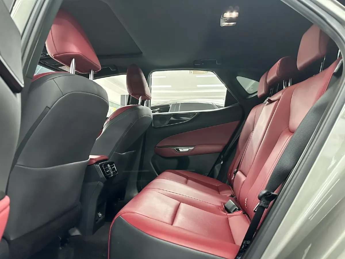 2022 Lexus NX 2.5L 205HP L4 8AT,autocango,china used car exporter,china ev exporter,chinese used car exporter,chinese used ev exporter