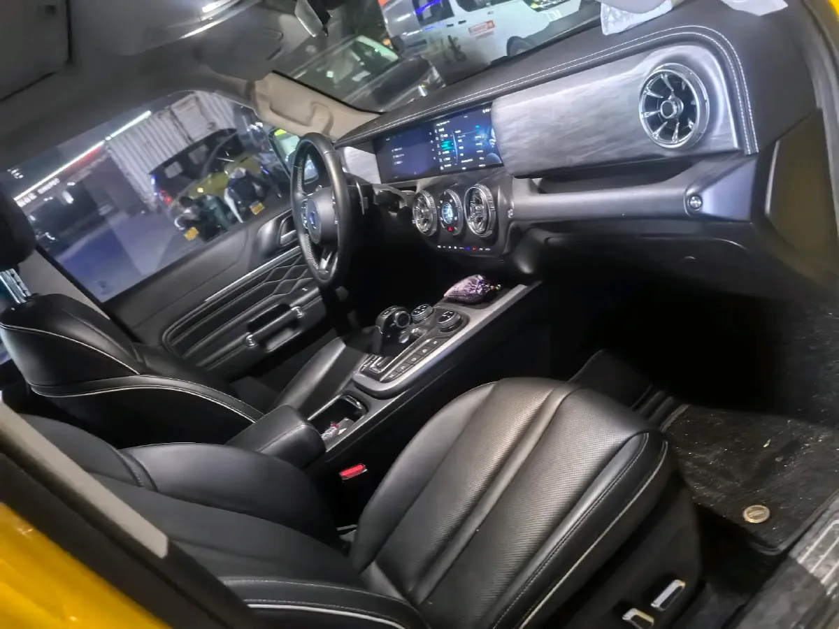 2022 Tank 300 2.0T 227HP L4 8AT,autocango,china used car exporter,china ev exporter,chinese used car exporter,chinese used ev exporter