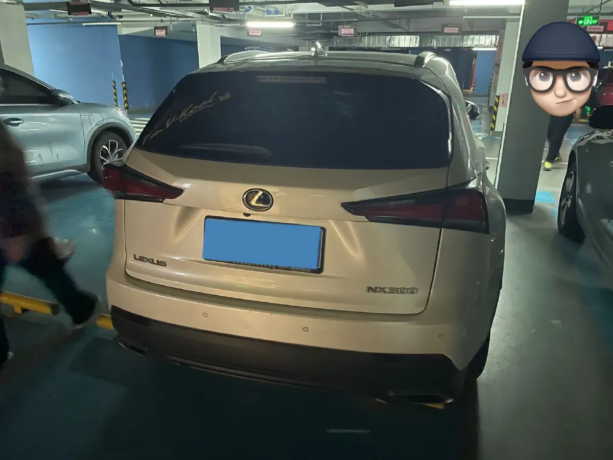 2018 Lexus NX 2.0T 238HP L4 6AT,autocango,china used car exporter,china ev exporter,chinese used car exporter,chinese used ev exporter