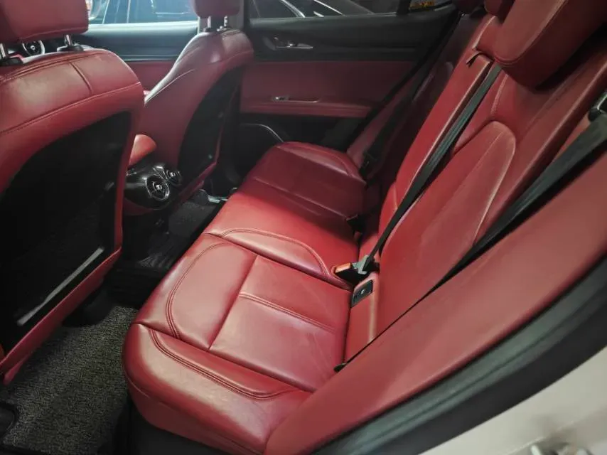 2017 Lexus NX 2.0T 238HP L4 6AT,autocango,china used car exporter,china ev exporter,chinese used car exporter,chinese used ev exporter