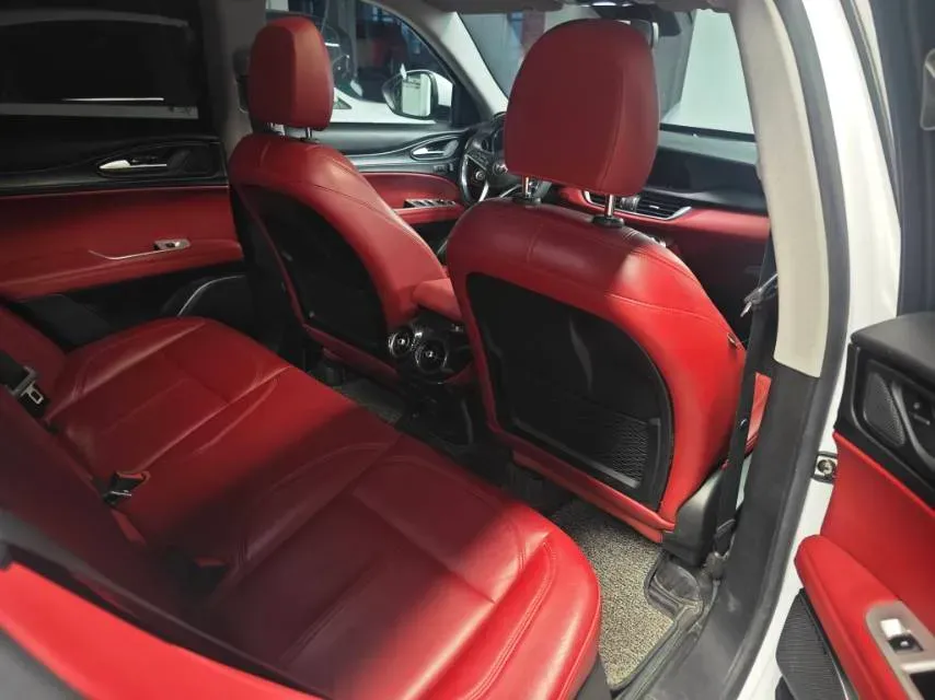 2017 Lexus NX 2.0T 238HP L4 6AT,autocango,china used car exporter,china ev exporter,chinese used car exporter,chinese used ev exporter