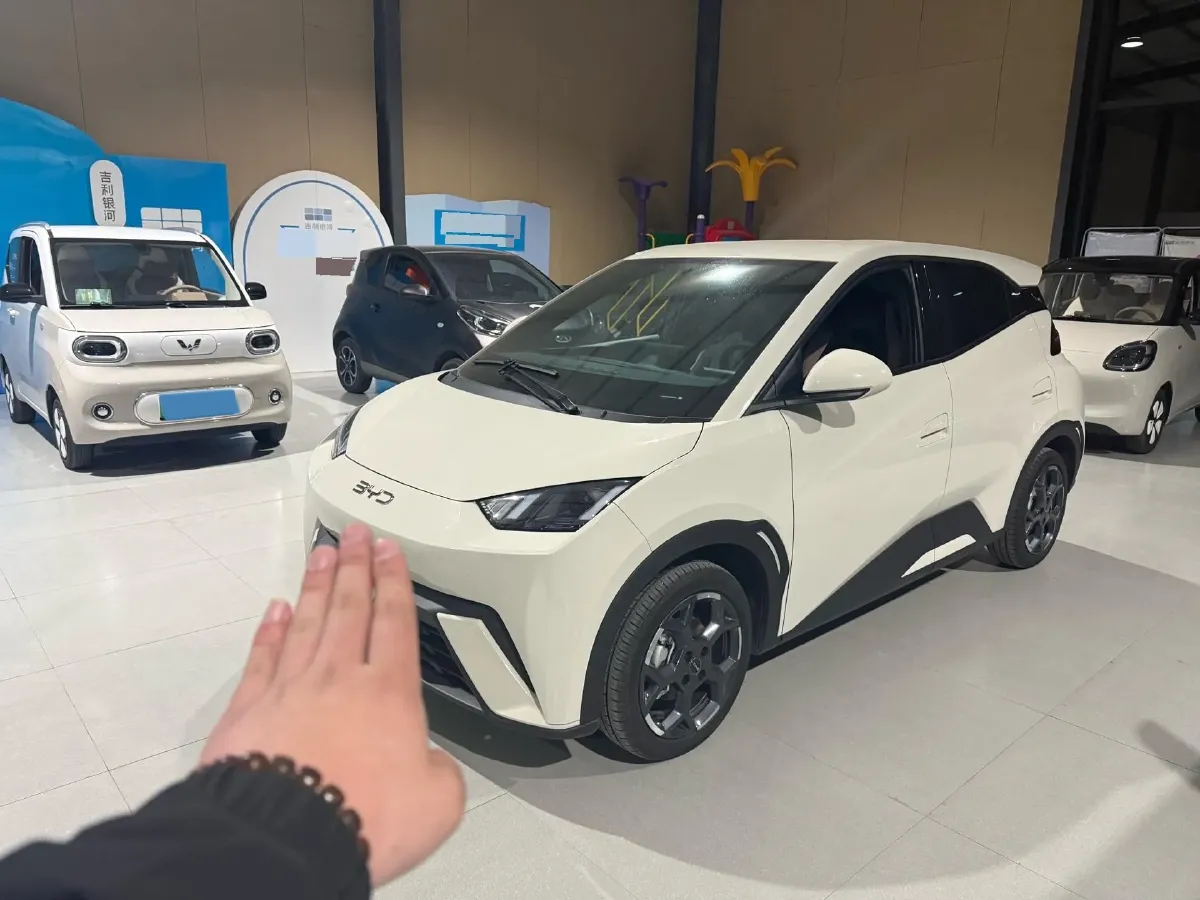 2025 BYD Seagull BEV 30.08KWH,autocango,china used car exporter,china ev exporter,chinese used car exporter,chinese used ev exporter