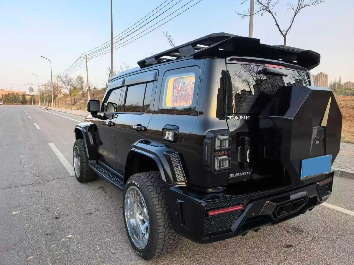 2022 Tank 300 2.0T 227HP L4 8AT,autocango,china used car exporter,china ev exporter,chinese used car exporter,chinese used ev exporter