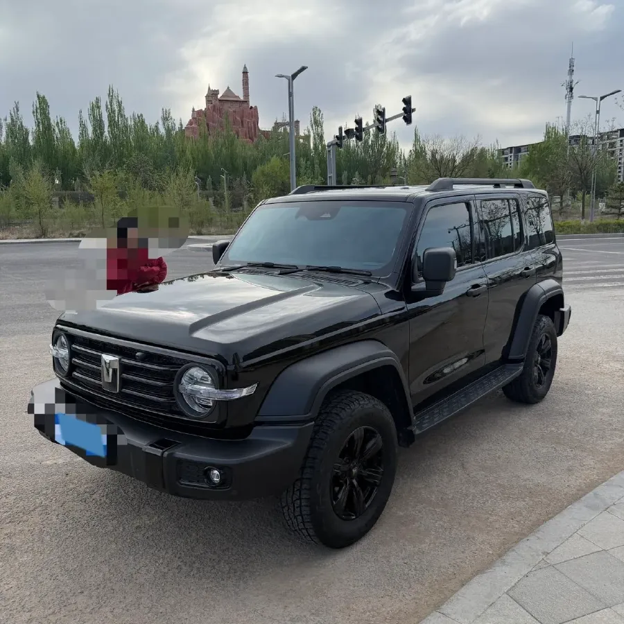2024 Tank 300 2.0T 227HP L4 8AT,autocango,china used car exporter,china ev exporter,chinese used car exporter,chinese used ev exporter