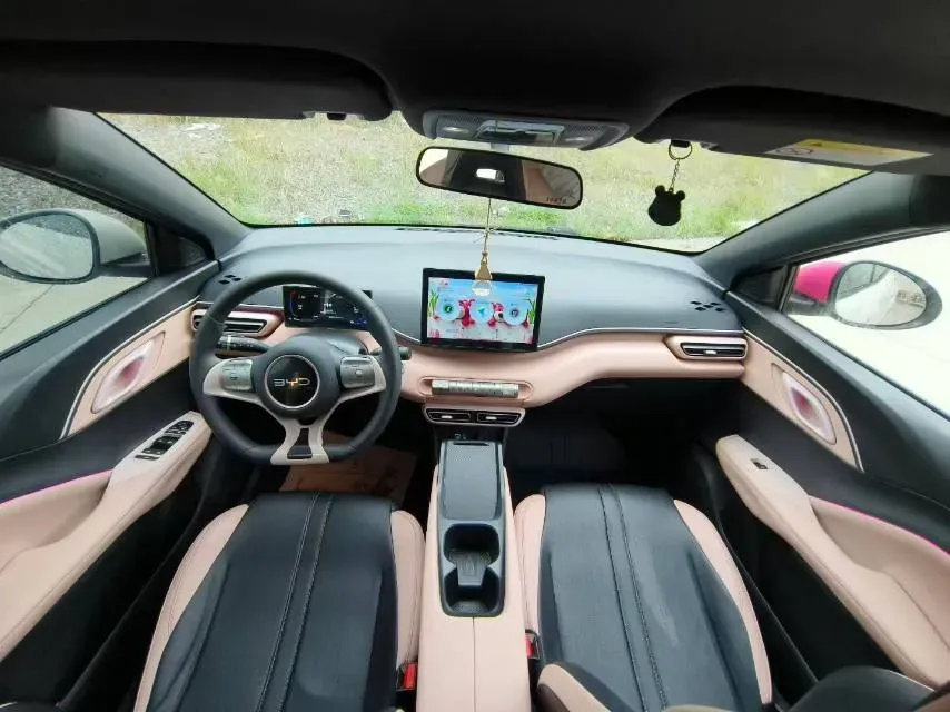 2024 BYD Seagull BEV 30.08KWH,autocango,china used car exporter,china ev exporter,chinese used car exporter,chinese used ev exporter