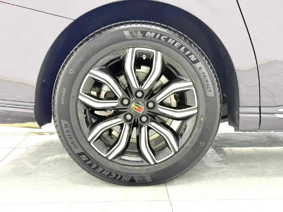 2023 HongQi HQ9 2.0T 252HP L4 8AT,autocango,china used car exporter,china ev exporter,chinese used car exporter,chinese used ev exporter