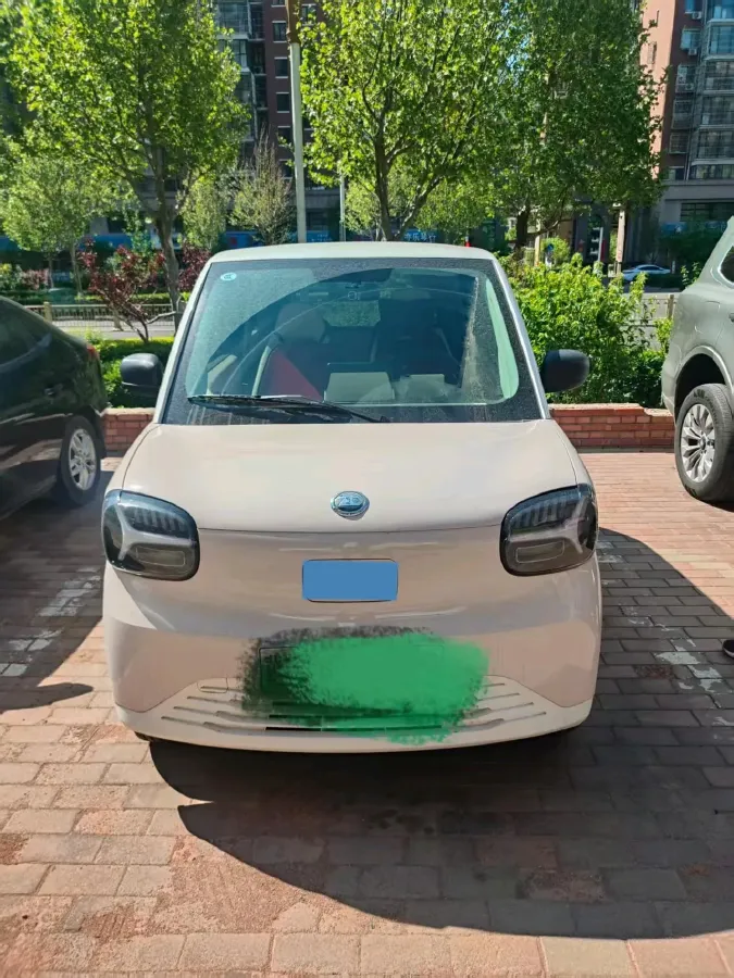 2024 ZD Rainbow BEV 17.3KWH,autocango,china used car exporter,china ev exporter,chinese used car exporter,chinese used ev exporter