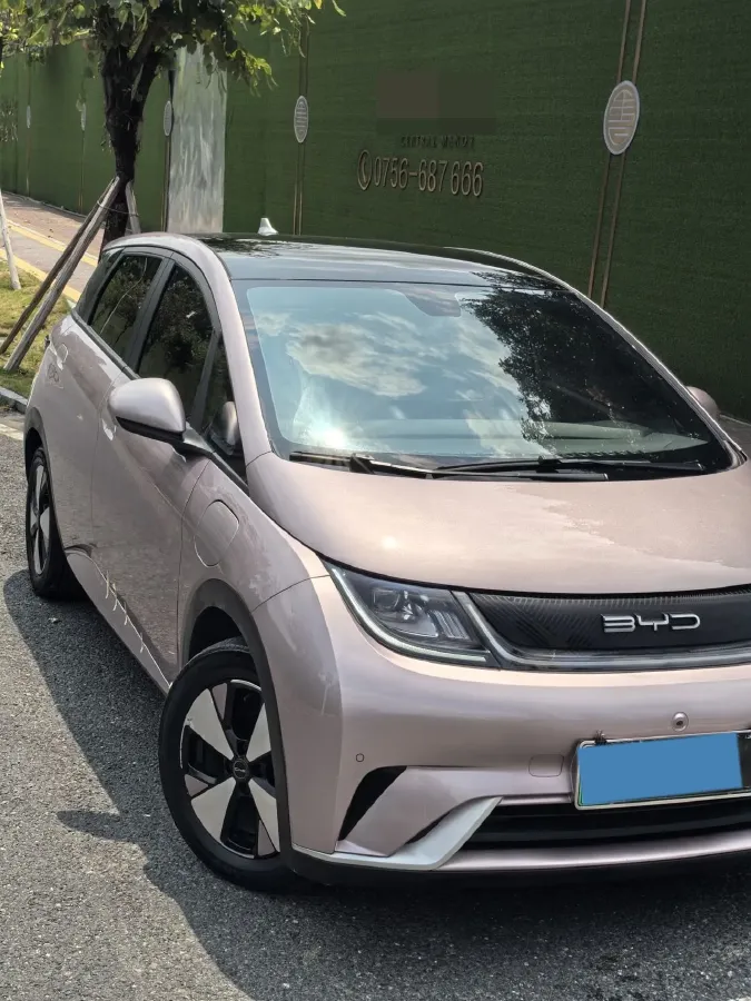 2023 BYD Dolphin BEV 44.928KWH,autocango,china used car exporter,china ev exporter,chinese used car exporter,chinese used ev exporter