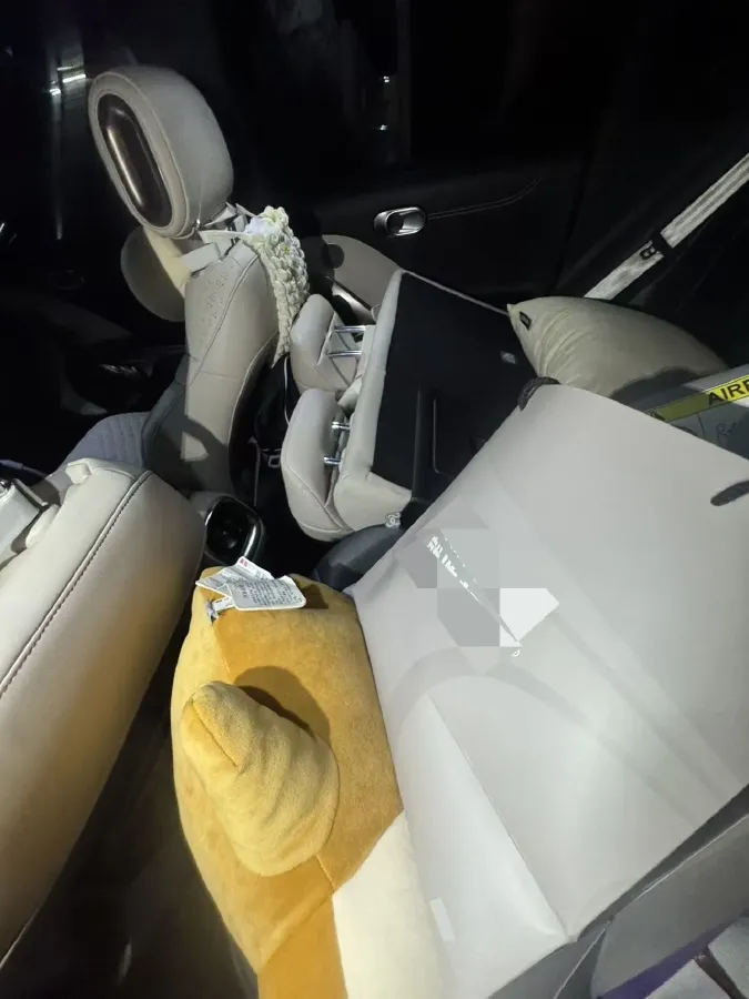 2022 Smart smart Elf 1 BEV 66KWH,autocango,china used car exporter,china ev exporter,chinese used car exporter,chinese used ev exporter