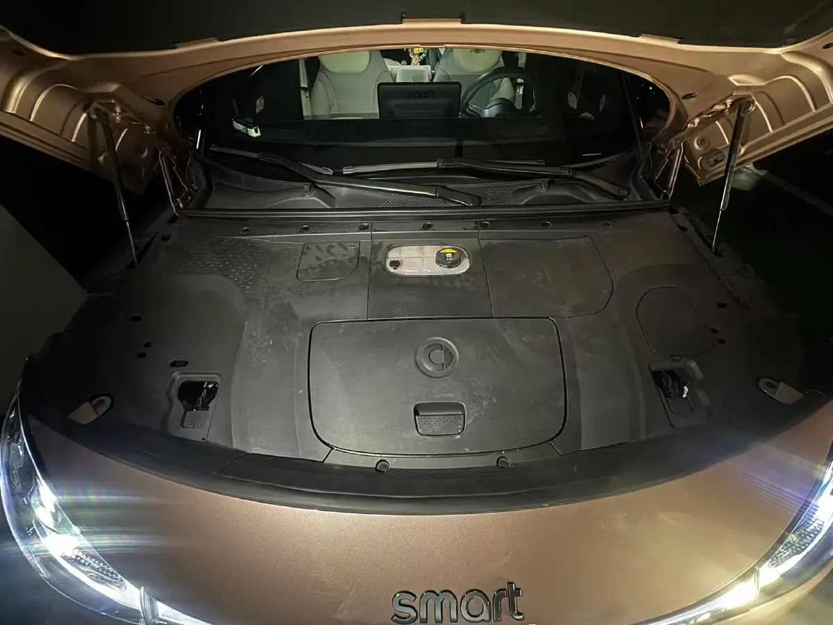 2022 Smart smart Elf 1 BEV 66KWH,autocango,china used car exporter,china ev exporter,chinese used car exporter,chinese used ev exporter