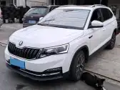 2021 SKODA KAMIQ,autocango,china used car exporter,china ev exporter,chinese used car exporter,chinese used ev exporter