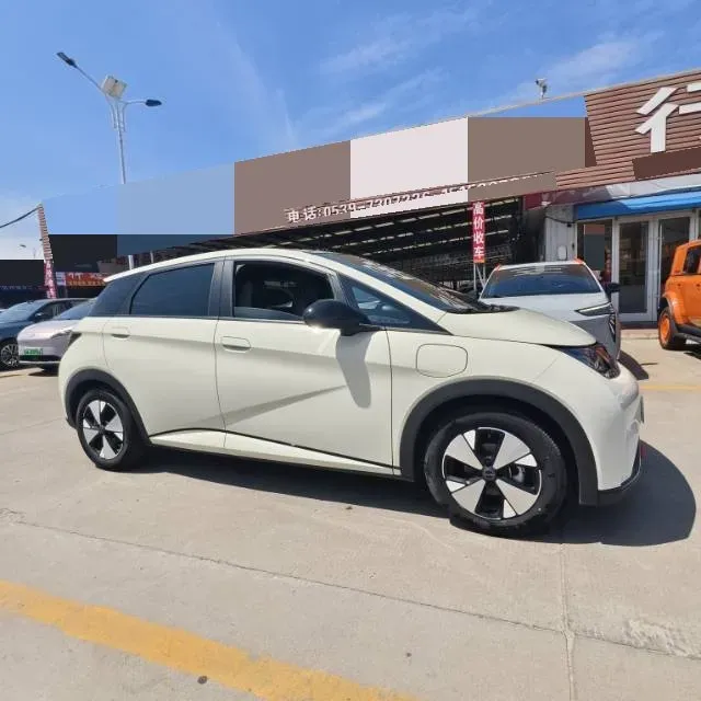 2023 BYD Dolphin BEV 44.928KWH,autocango,china used car exporter,china ev exporter,chinese used car exporter,chinese used ev exporter