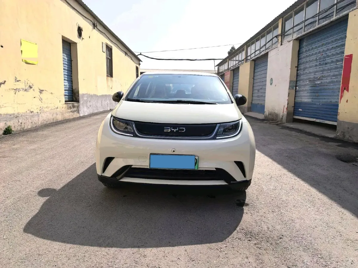 2025 BYD Dolphin BEV 44.928KWH,autocango,china used car exporter,china ev exporter,chinese used car exporter,chinese used ev exporter