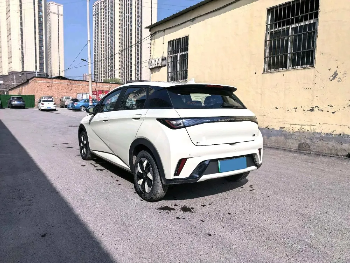 2025 BYD Dolphin BEV 44.928KWH,autocango,china used car exporter,china ev exporter,chinese used car exporter,chinese used ev exporter