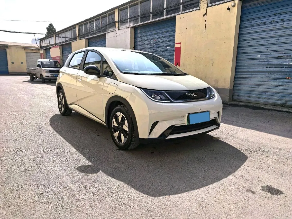 2025 BYD Dolphin BEV 44.928KWH,autocango,china used car exporter,china ev exporter,chinese used car exporter,chinese used ev exporter