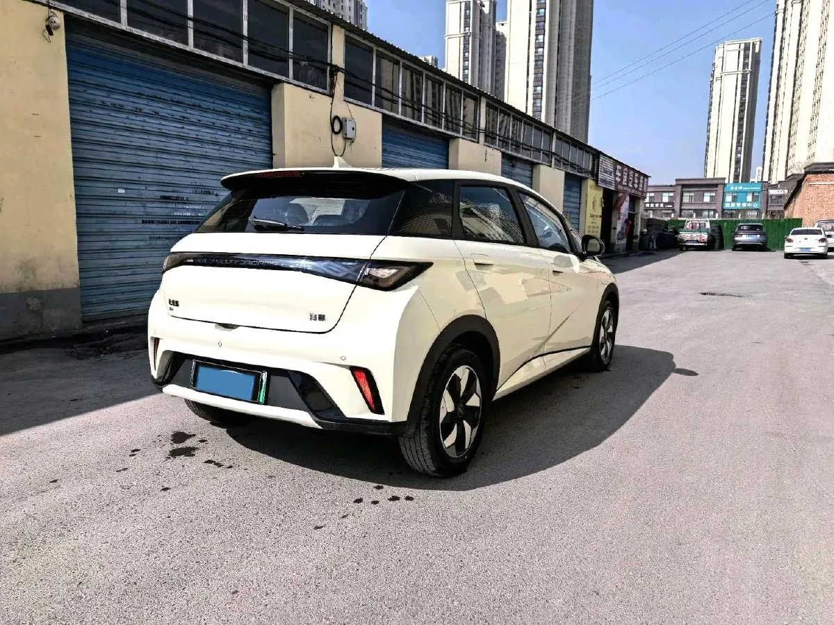 2025 BYD Dolphin BEV 44.928KWH,autocango,china used car exporter,china ev exporter,chinese used car exporter,chinese used ev exporter