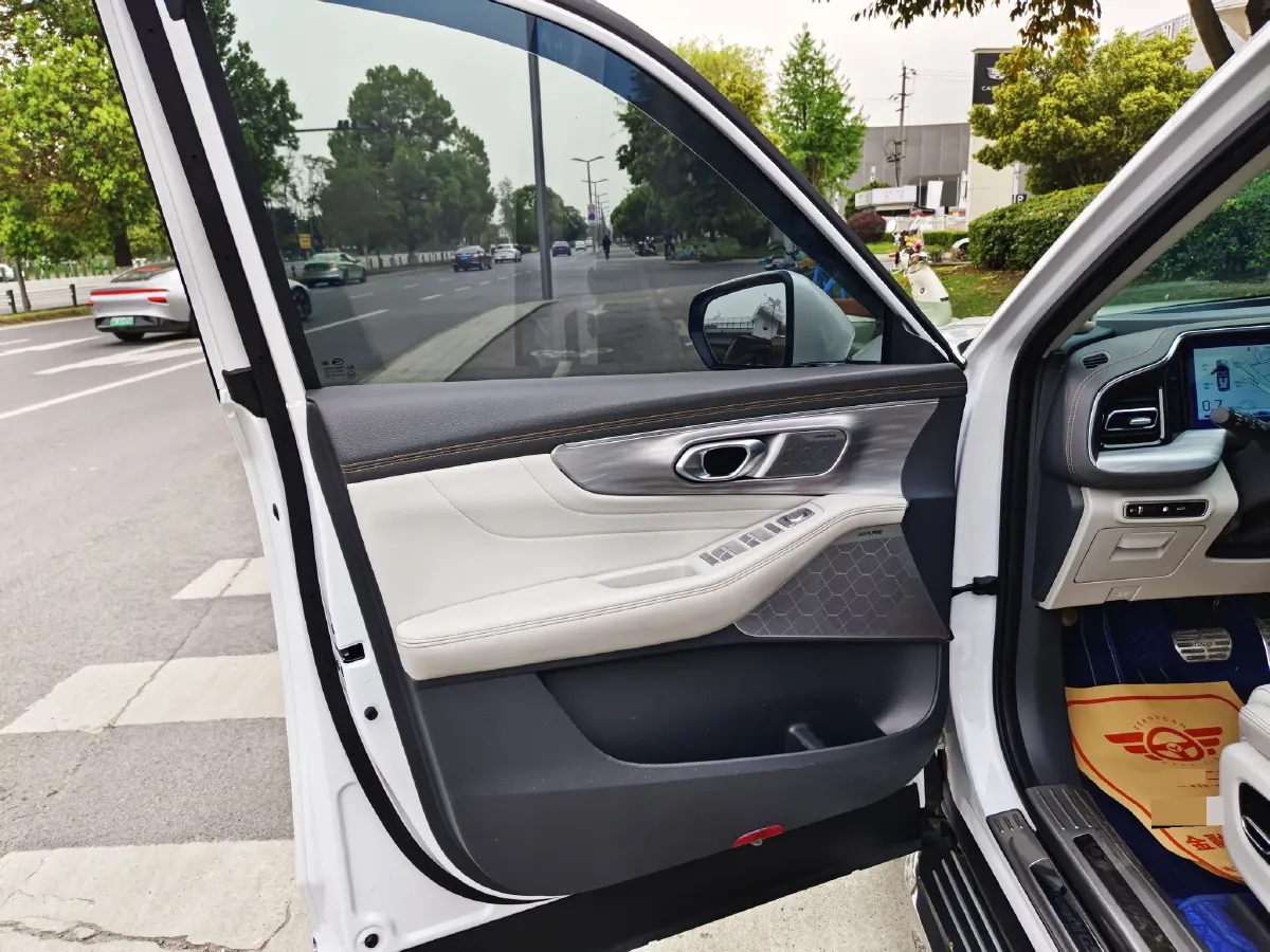 2022 GAC Trumpchi GS8 2.0T 252HP L4 8AT,autocango,china used car exporter,china ev exporter,chinese used car exporter,chinese used ev exporter