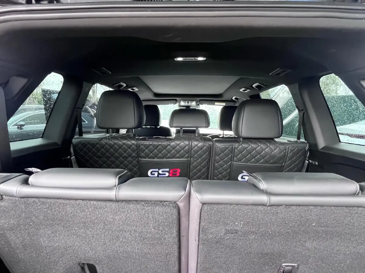 2022 GAC Trumpchi GS8 2.0T 252HP L4 8AT,autocango,china used car exporter,china ev exporter,chinese used car exporter,chinese used ev exporter