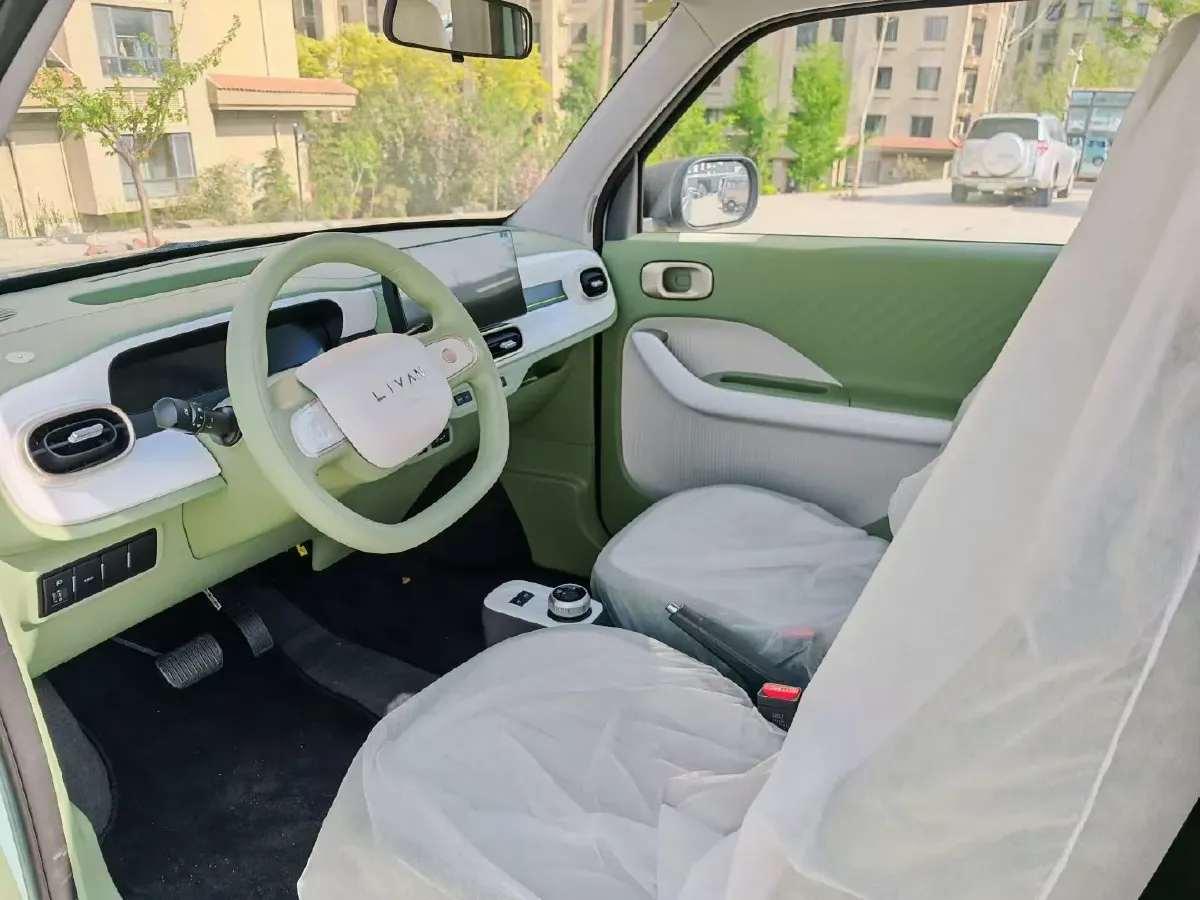 2025 Geely Lanqiqiu BEV,autocango,china used car exporter,china ev exporter,chinese used car exporter,chinese used ev exporter