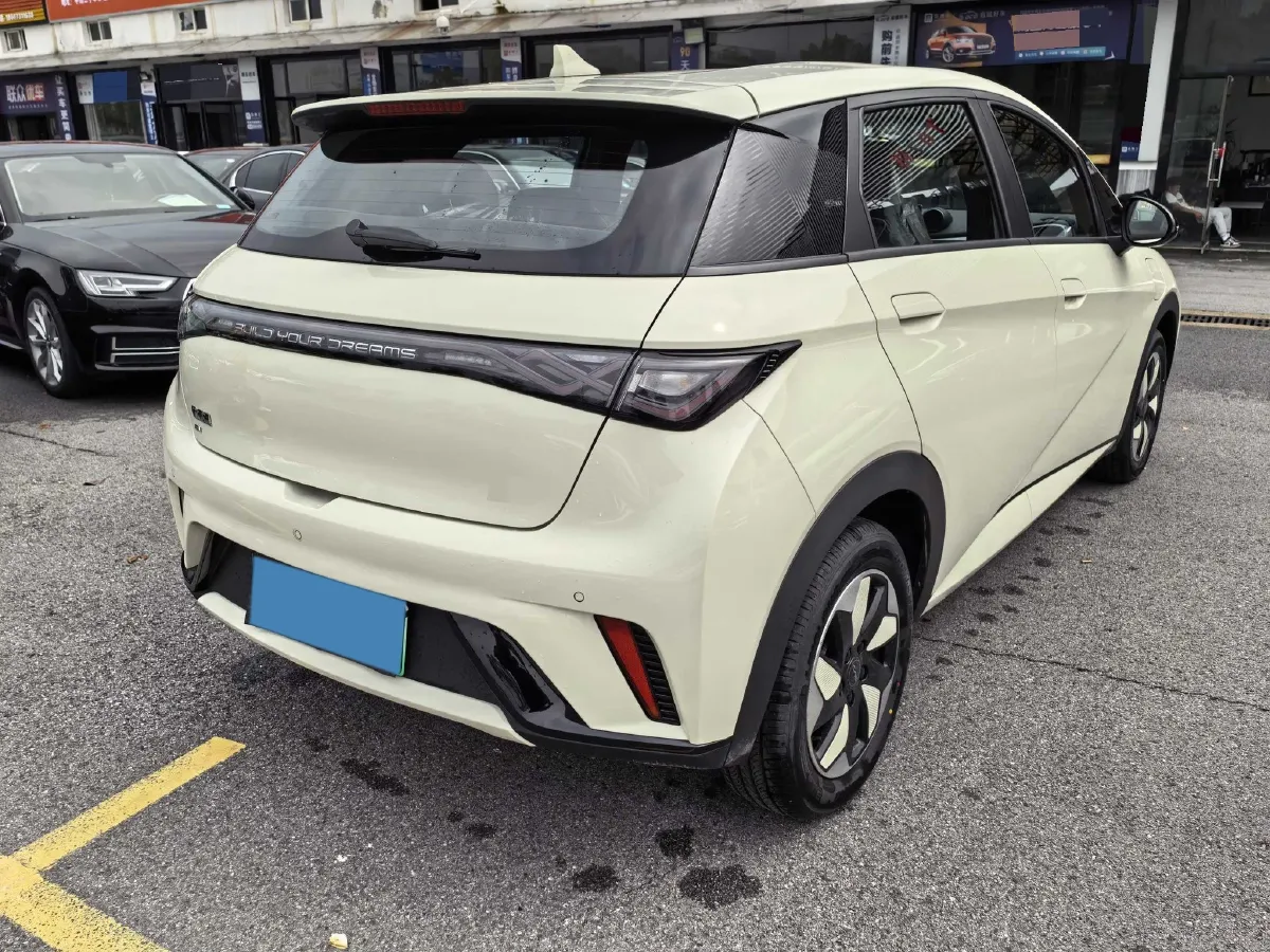 2025 BYD Dolphin BEV 44.928KWH,autocango,china used car exporter,china ev exporter,chinese used car exporter,chinese used ev exporter