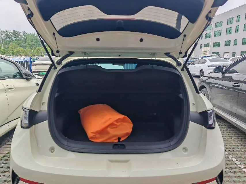 2025 BYD Dolphin BEV 45.12KWH,autocango,china used car exporter,china ev exporter,chinese used car exporter,chinese used ev exporter