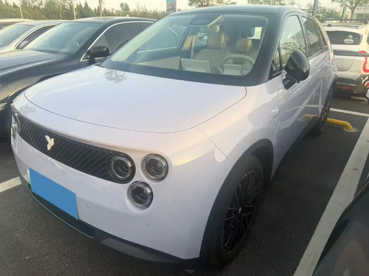 2025 Firefly Firefly BEV,autocango,china used car exporter,china ev exporter,chinese used car exporter,chinese used ev exporter