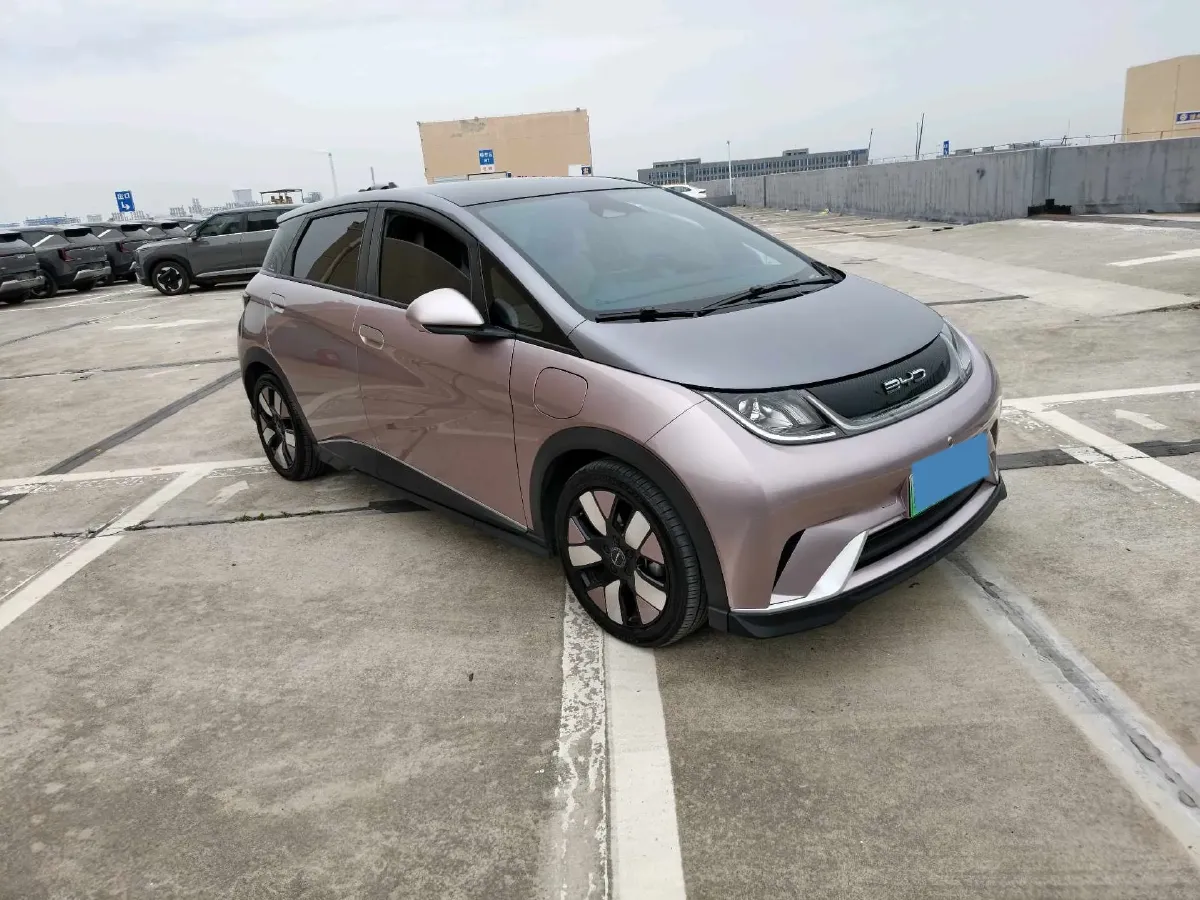 2023 BYD Dolphin BEV 44.928KWH,autocango,china used car exporter,china ev exporter,chinese used car exporter,chinese used ev exporter